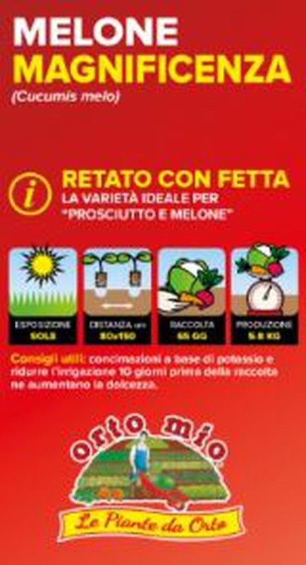 Melón Magnificenza 4 Plantas En Pack