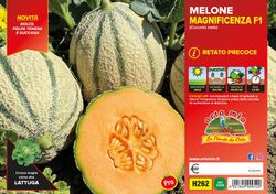 Melón Rayado con Rodaja Precoz 4 Plantas En Pack