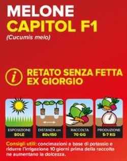 Melón Rayado Sin Rodaja Capitol 4 Plantas en Pack