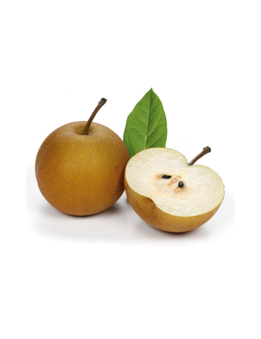 NASHI HOSUI Pyrus pyrifolia 4/6 C-19