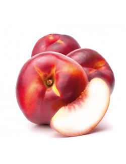 Nectarina Caldesi C-24  ITALIA