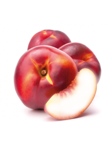 Nectarina Caldesi C-24  ITALIA