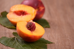 Nectarina P.G. Maria Aurelia C-24 ITALIA