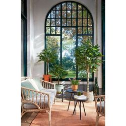 Pachira Planta artificial - Al80 x Ø60 cm - Verde