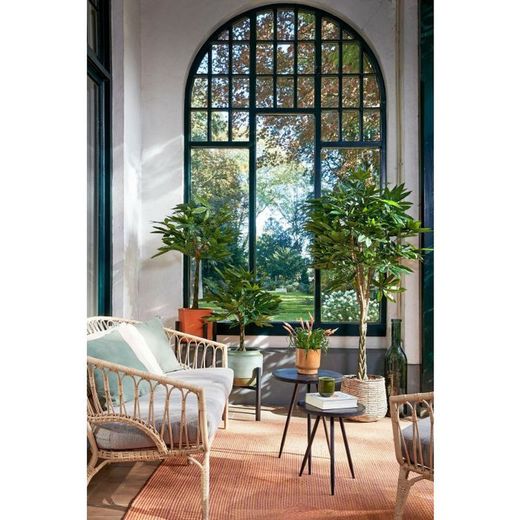 Pachira Planta artificial - Al80 x Ø60 cm - Verde