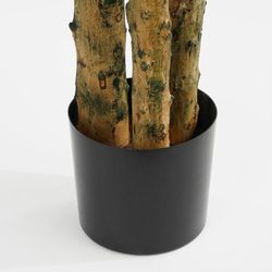 Pachira Tree Green - H175XD85CM
