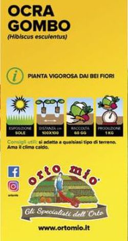 Lechuga Da Pinzimonio 9 Plantas En Pack