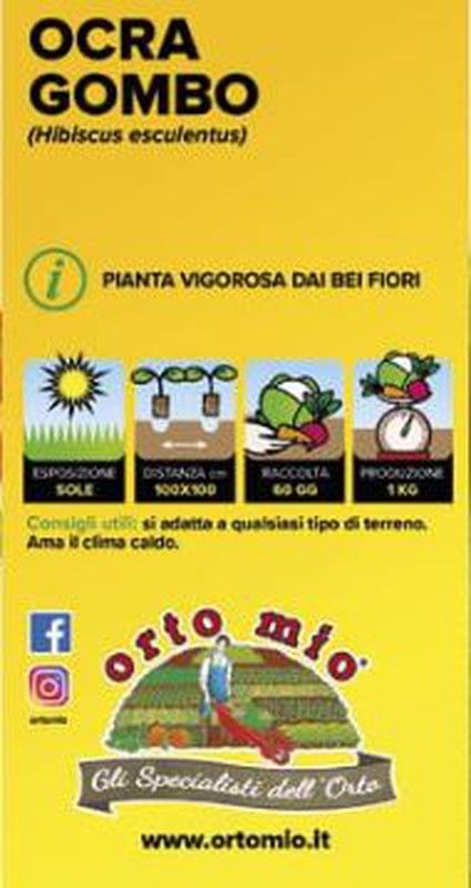 Lechuga Da Pinzimonio 9 Plantas En Pack