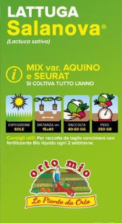 Lechuga Multihojas Salanova 9 Plantas En Pack
