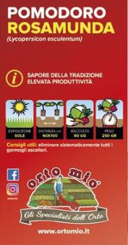 Tomate Corazon De Buey Ligure Rosamunda 6 Plantas En Pack