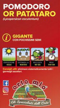 Tomate Kilotto Patatero Gigante 6 plantas en pack