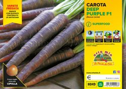 Zanahoria Negra Deep 16 Plantas En Pack