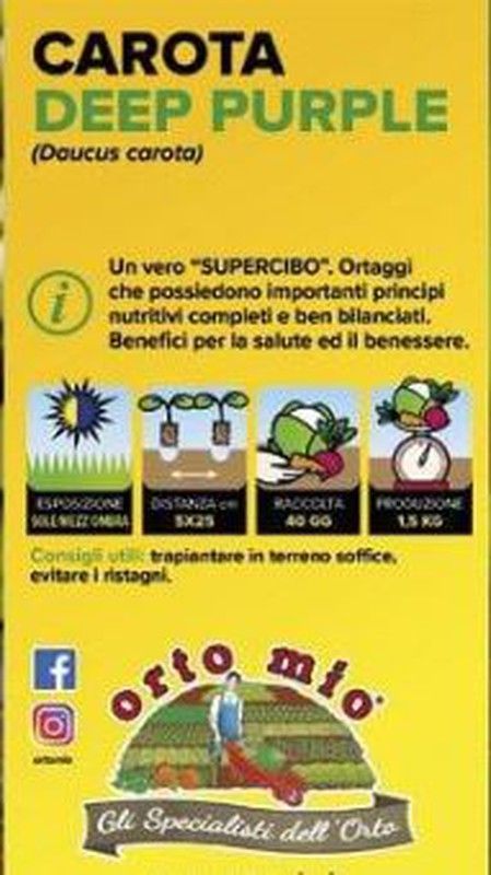 Zanahoria Negra Deep 16 Plantas En Pack