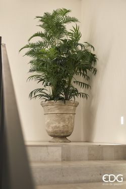 Palma Areca C/Jarron PVC H180 (45FG) B7