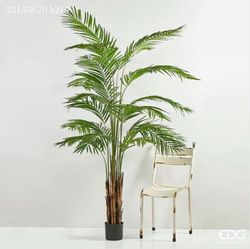 Palma Areca C/Jarron PVC H215 (739FG) B7