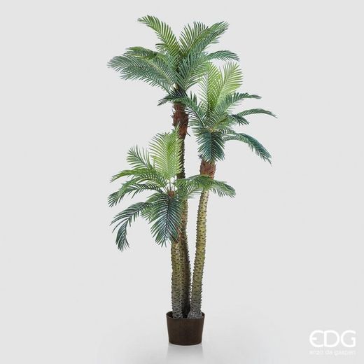 Palma Areca X3 C/Jarron H300 (45FG) B8