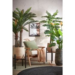 Palma Cycas en maceta de plástico verde - h150xd100cm