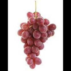 PARRA CEPA RED GLOBE C-20 80/100 30Tr Vitis vinifera