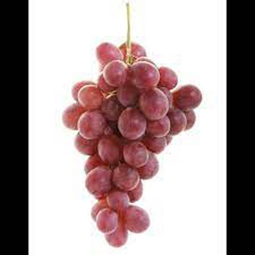 PARRA CEPA RED GLOBE C-20 80/100 30Tr Vitis vinifera
