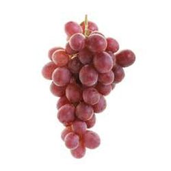 PARRA CRIMSON Vitis vinifera 4/6 C-19