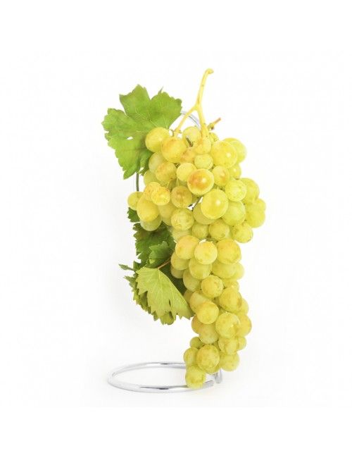 Parra Vittoria ITALIA CT.15x15x20  H-150