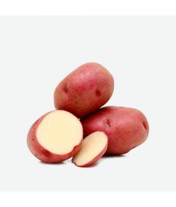 Patatas de Siembra Desiree - Caja 100 U