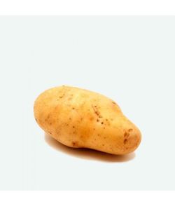 Patatas de Siembra Spunta - Caja 100 U