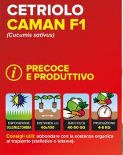 Pepino Prestige F1 de Mercado 4 Plantas En Pack