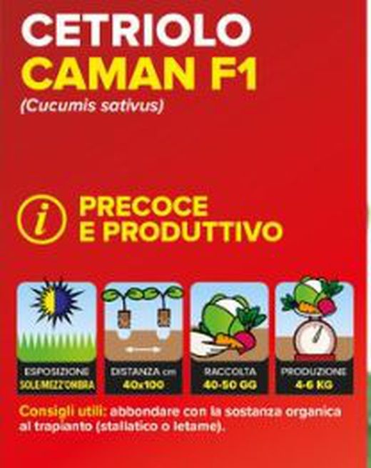 Pepino Prestige F1 de Mercado 4 Plantas En Pack