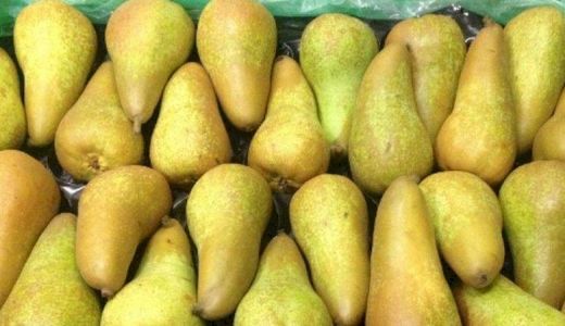 Pera Abate  CT.42  ITALIA