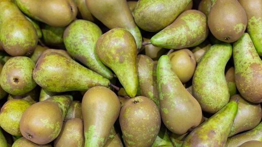 Pera Conference C-24 ITALIA