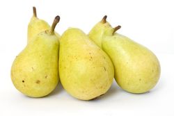 Pera Coscia C-24 ITALIA