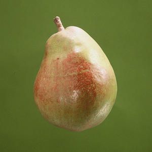 Pera ( Pyrus Communis) Doyene De Comice  6/8 C-24  ITALIA
