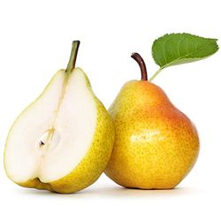 Pera (Pyrus communis) general leclerc 6/8 C-24 ITALIA
