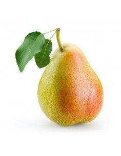 Pera (Pyrus communis) general leclerc 6/8 C-24 ITALIA