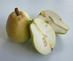 Pera Santa Maria C-24  ITALIA