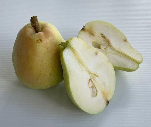 Pera Santa Maria C-24  ITALIA