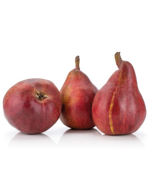 PERAL BELLEZA DE ROMA Pyrus communis 4/6 C-25