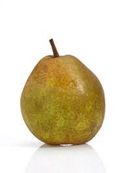 PERAL BEURRE HARDY Pyrus communis 6/8 C-25