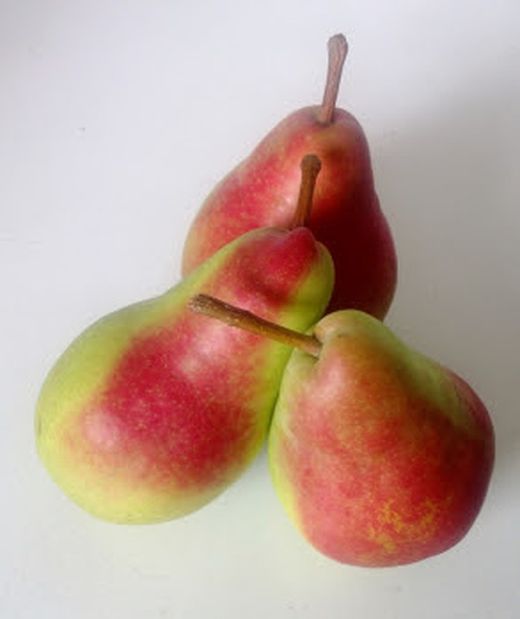 PERAL CASTELL Pyrus communis 6/8 C-25