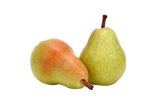 PERAL ERCOLINI Pyrus communis 4/6 C-19