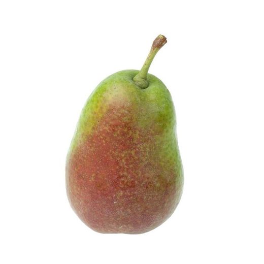 PERAL LOUISE BONNE Pyrus communis 6/8 C-25