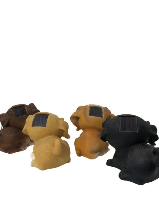 Perro con ojos brillantes Smart Solar