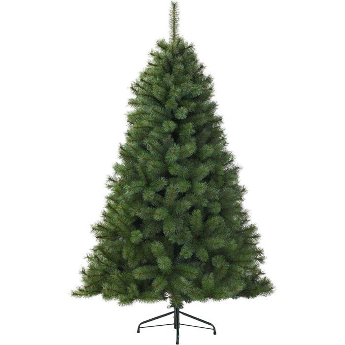Picea Canada Spruce Verde D094CM