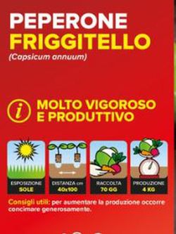 Pimiento Friggitello F1 Napolitano Friarello 6 Plantas En Pack