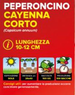 Pimiento Picante Cayenna 6 Plantas En Pack