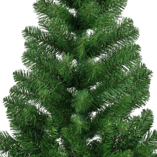Pino Imperial Verde