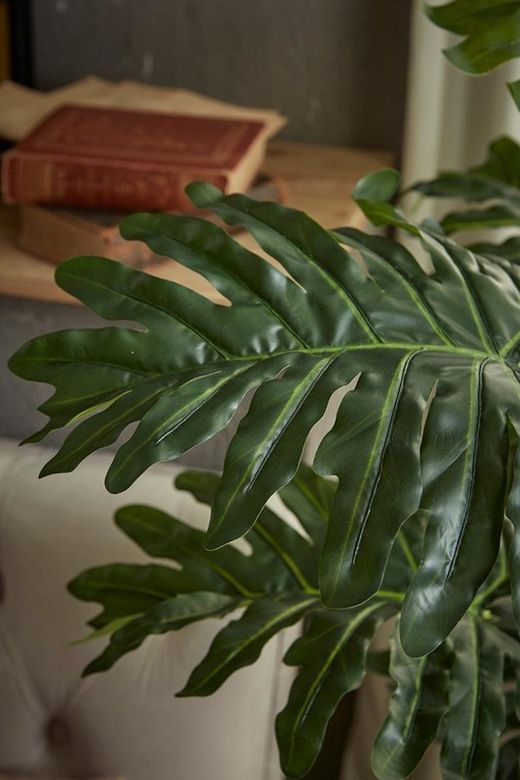 Planta Philodendro con Maceta, 140cm