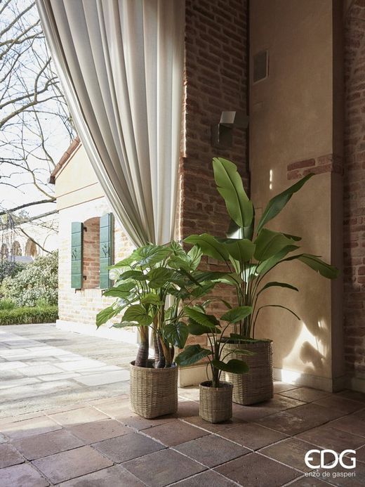 Planta filodendron H120 (48FG) B9
