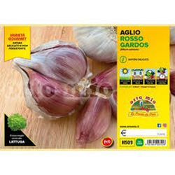 Ajo Rojo Sulmona Certificado 6 Plantas en Pack